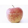 Exportar a maçã Fuji fresca de alta qualidade (64-198)